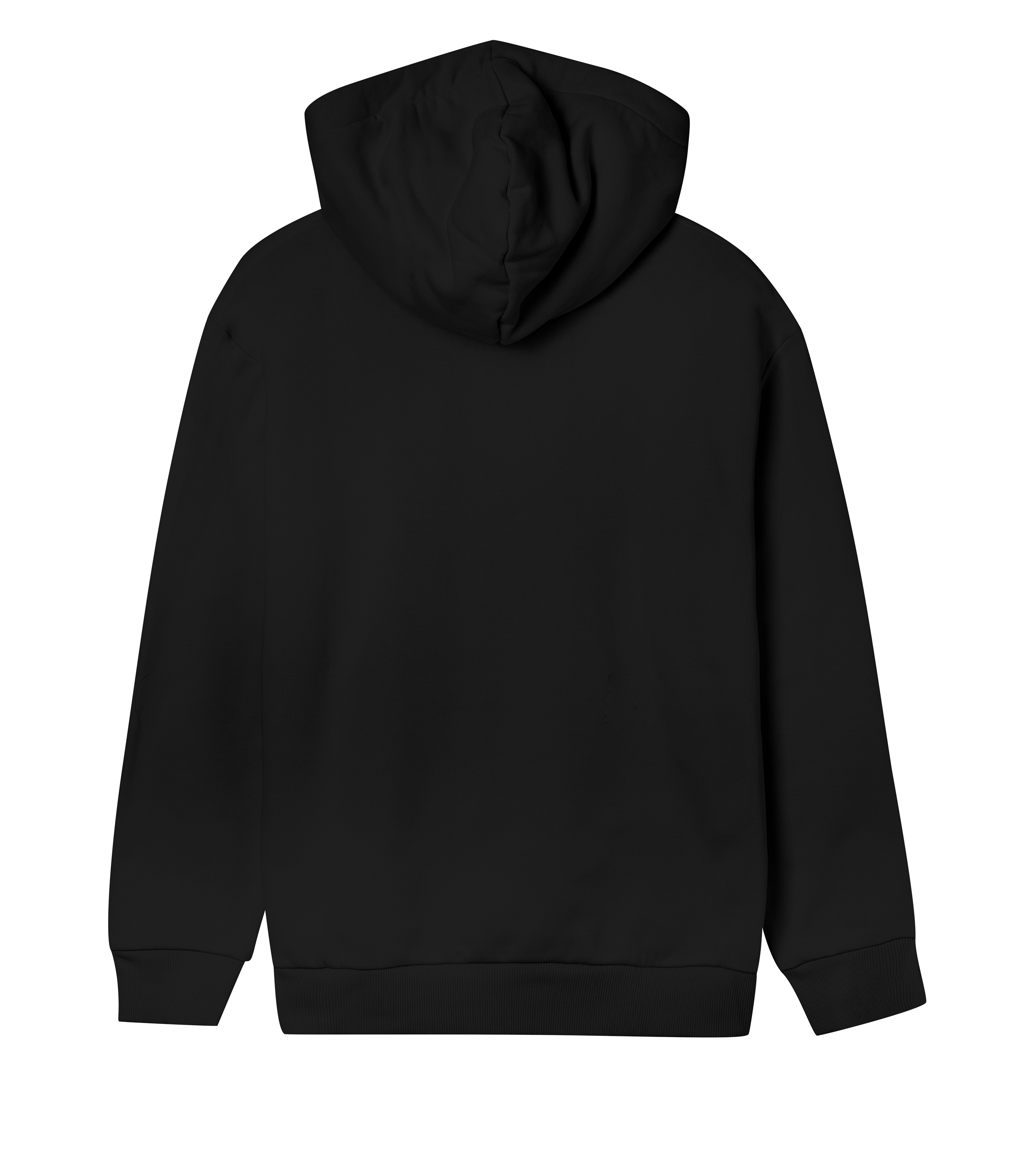 Womens Regular Hoodi v3e
