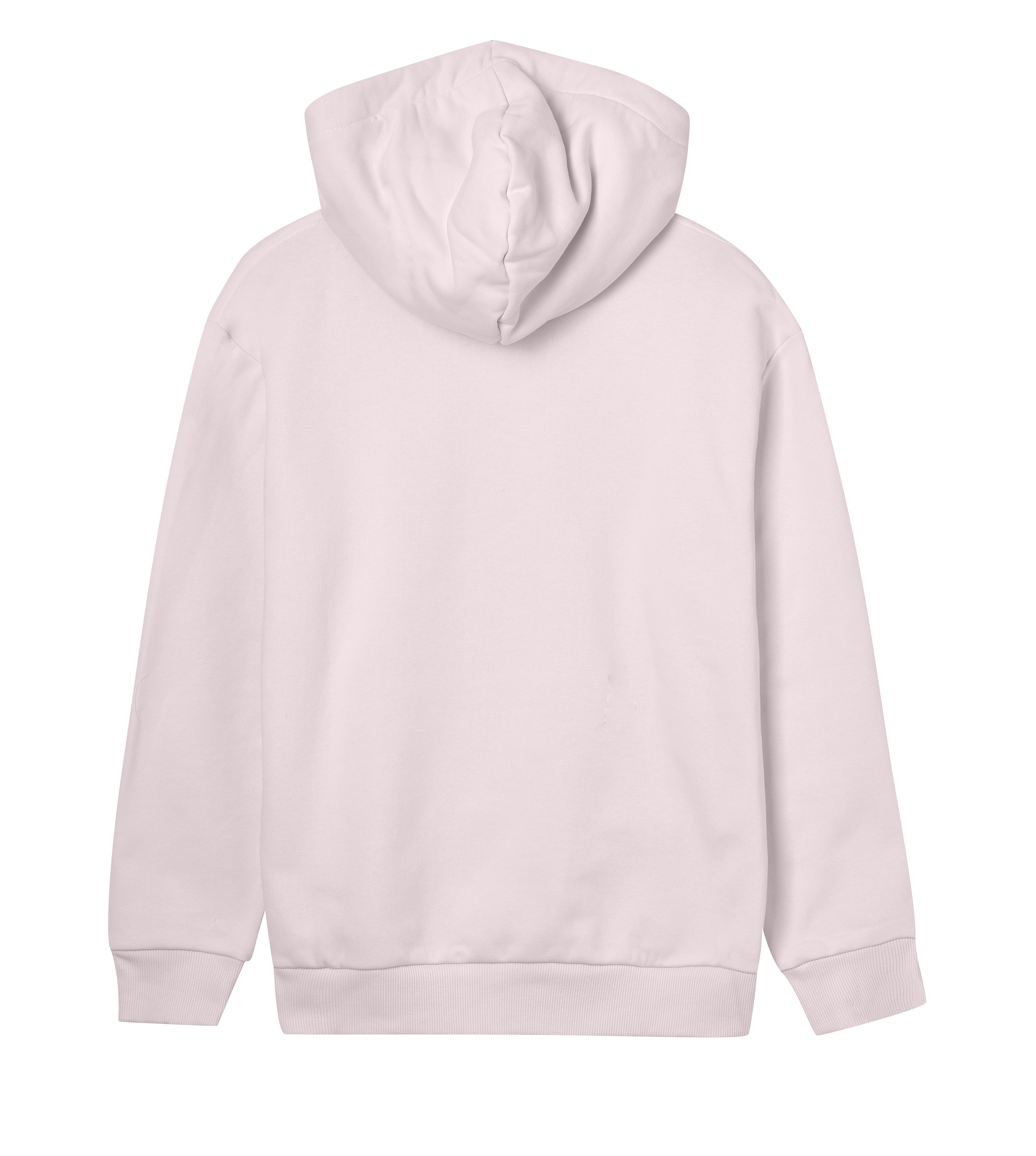 Womens Regular Hoodi v3e