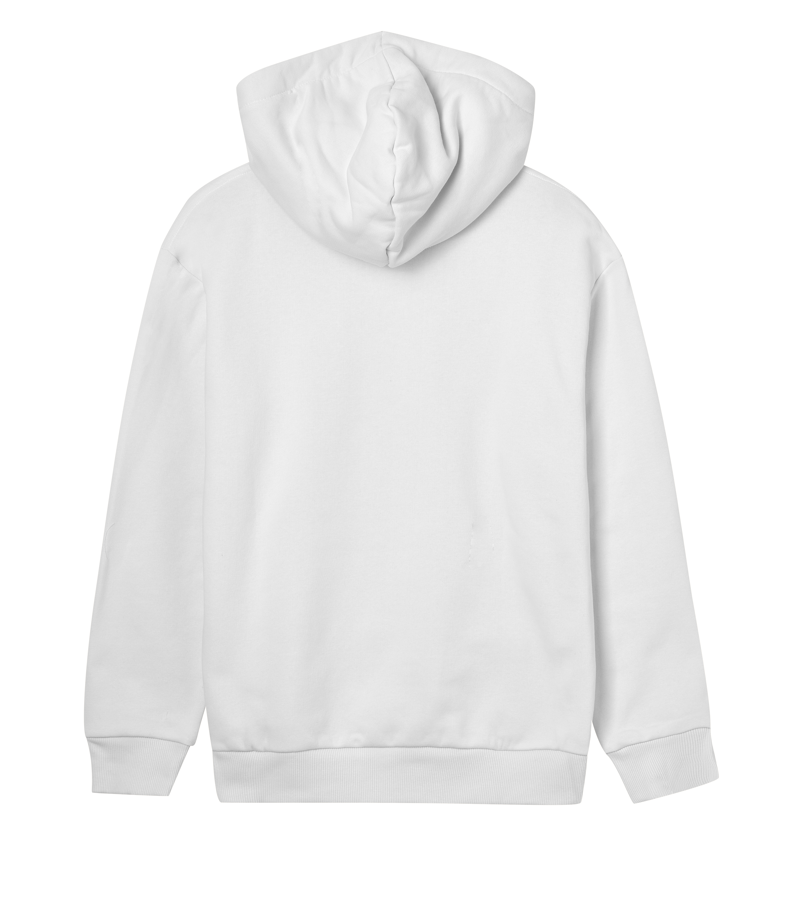 Womens Regular Hoodi v3e